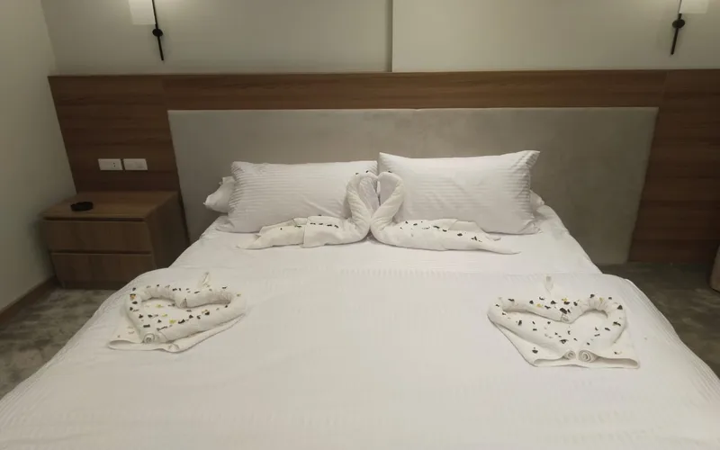Modern Furniture - Premium Studio with King Bed
